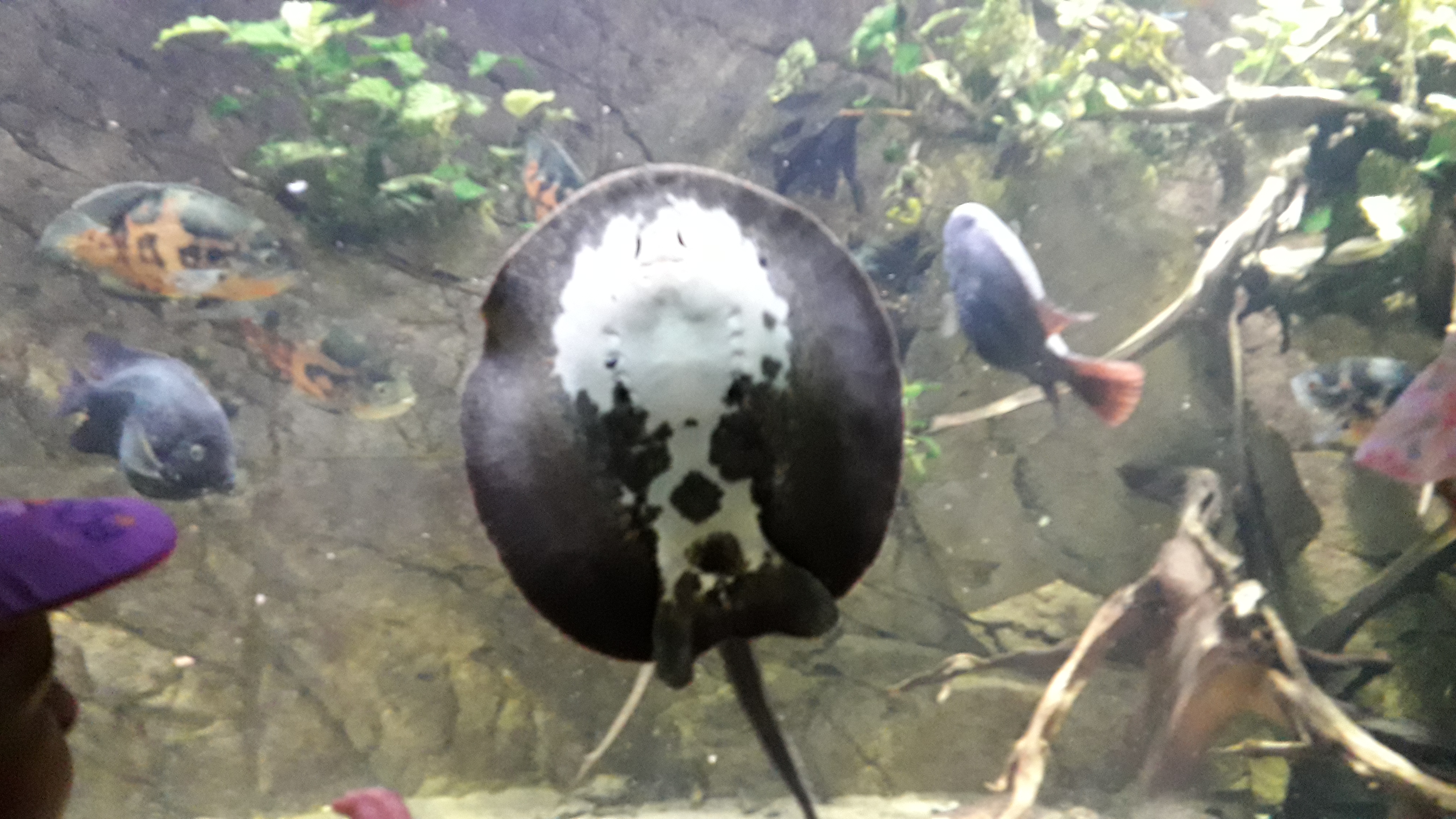 20190621_132256