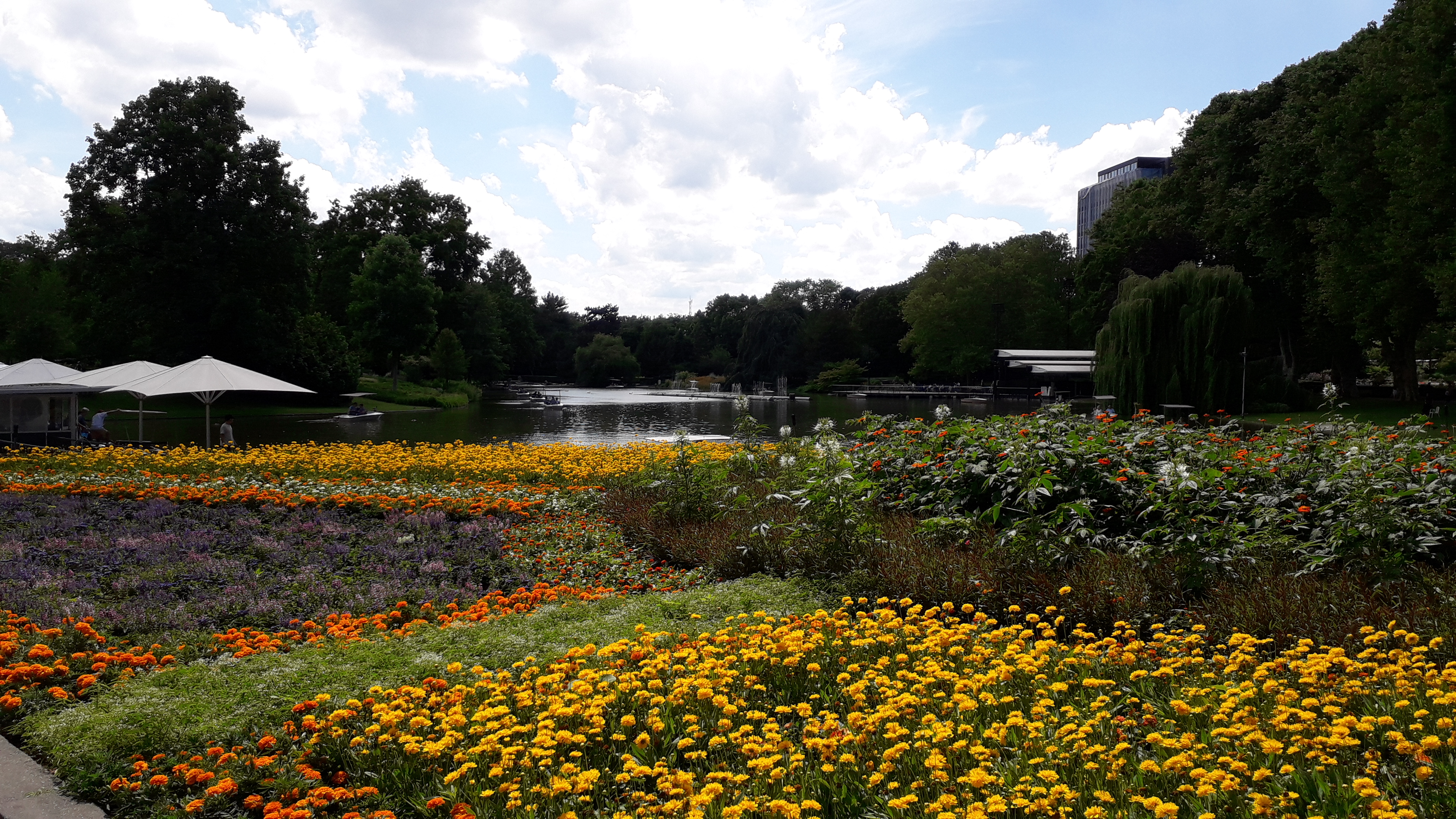 20190621_140517